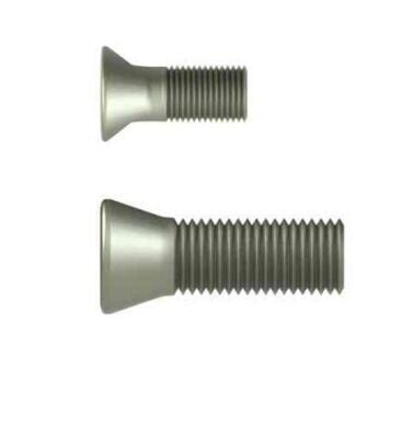 M4,5x12x6,9 Torx Vida Eric