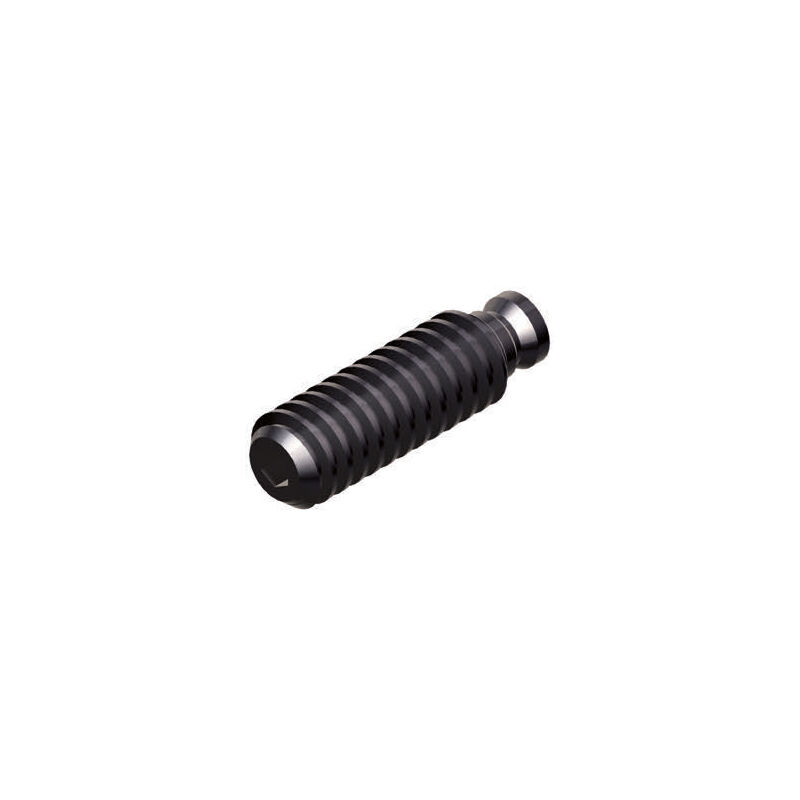 200mm GERARDI MENGENE KİLİTLEME VİDASI ART.356 T.5