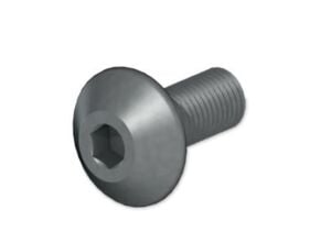 M8x1 TPKN 22 BASKI VİDASI ERİC